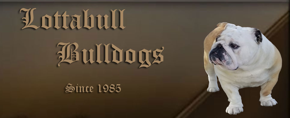 Lottabull Bulldogs